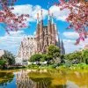 Sagrada Família Outdoor Walking Tour