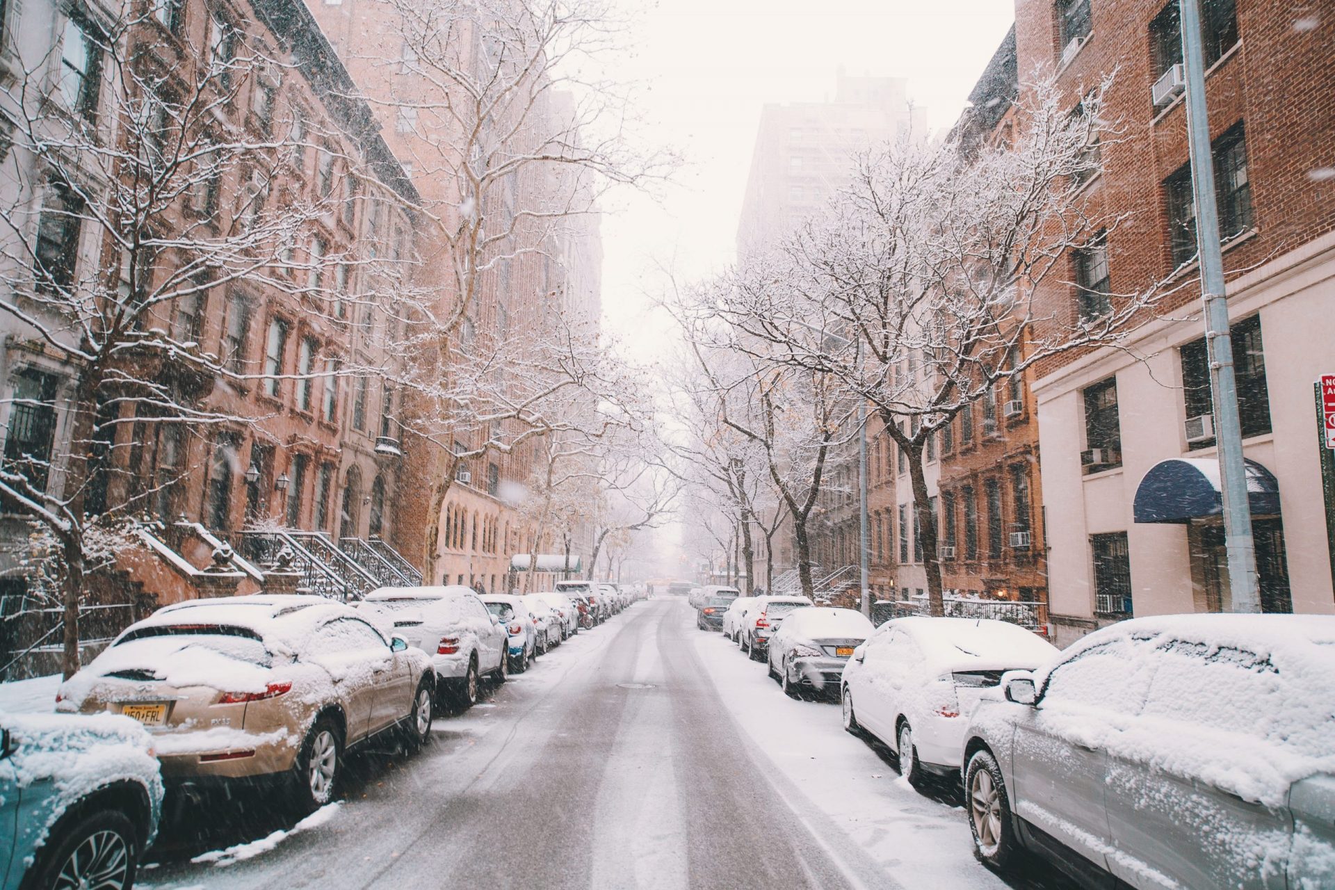 The Best Things To Do In NYC In December Blog