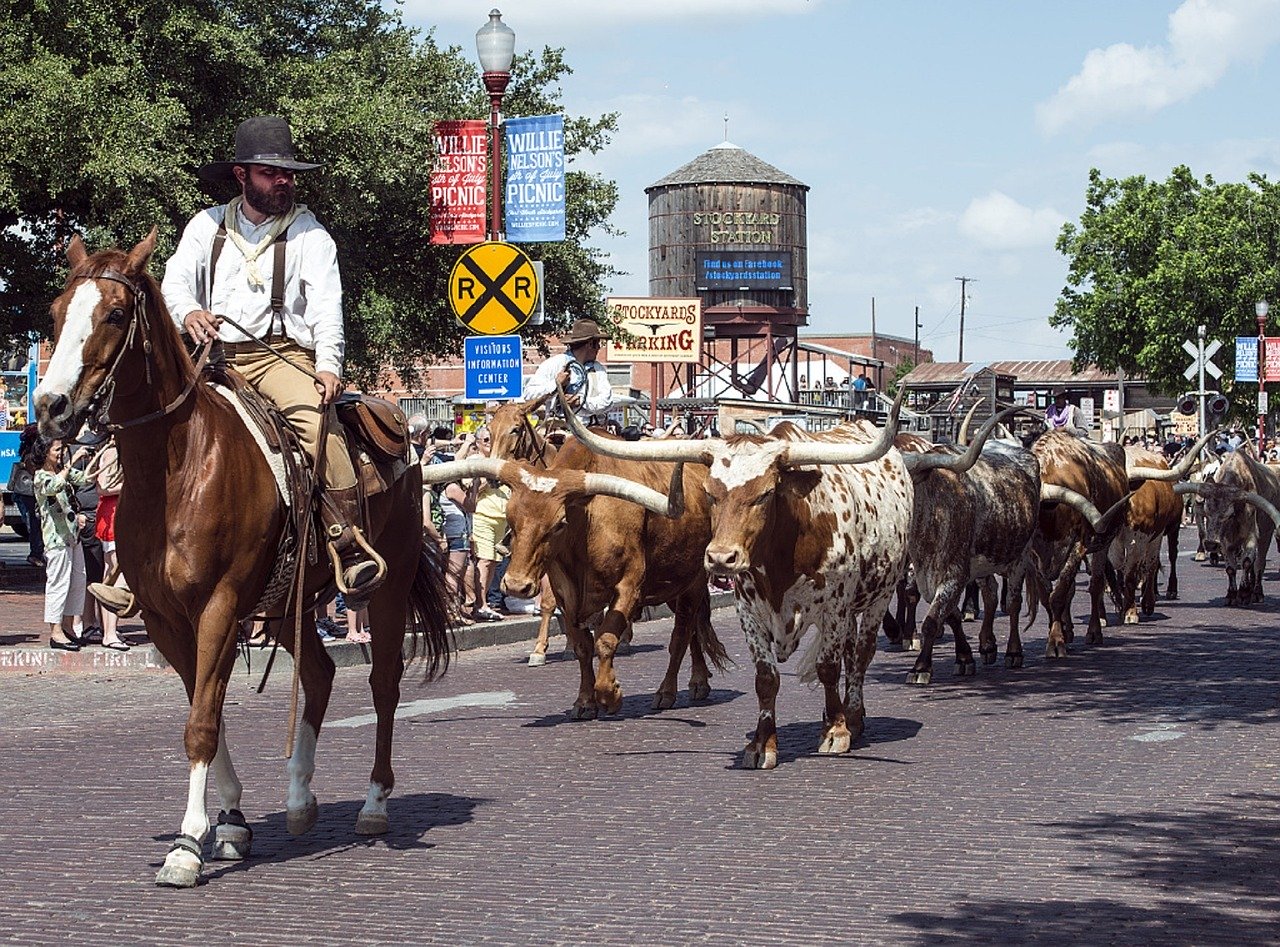 Why the Fort Worth Stockyards Are Famous (And What to See) – Blog