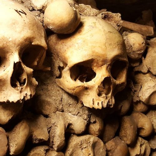 Skulls in the Paris Catacombs