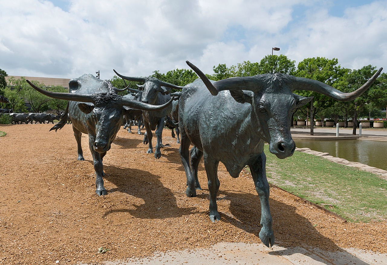 XBronze Bulls In Downtown Dallas At Pioneer Plaza .pagespeed.ic.tsKpuvY4OX 