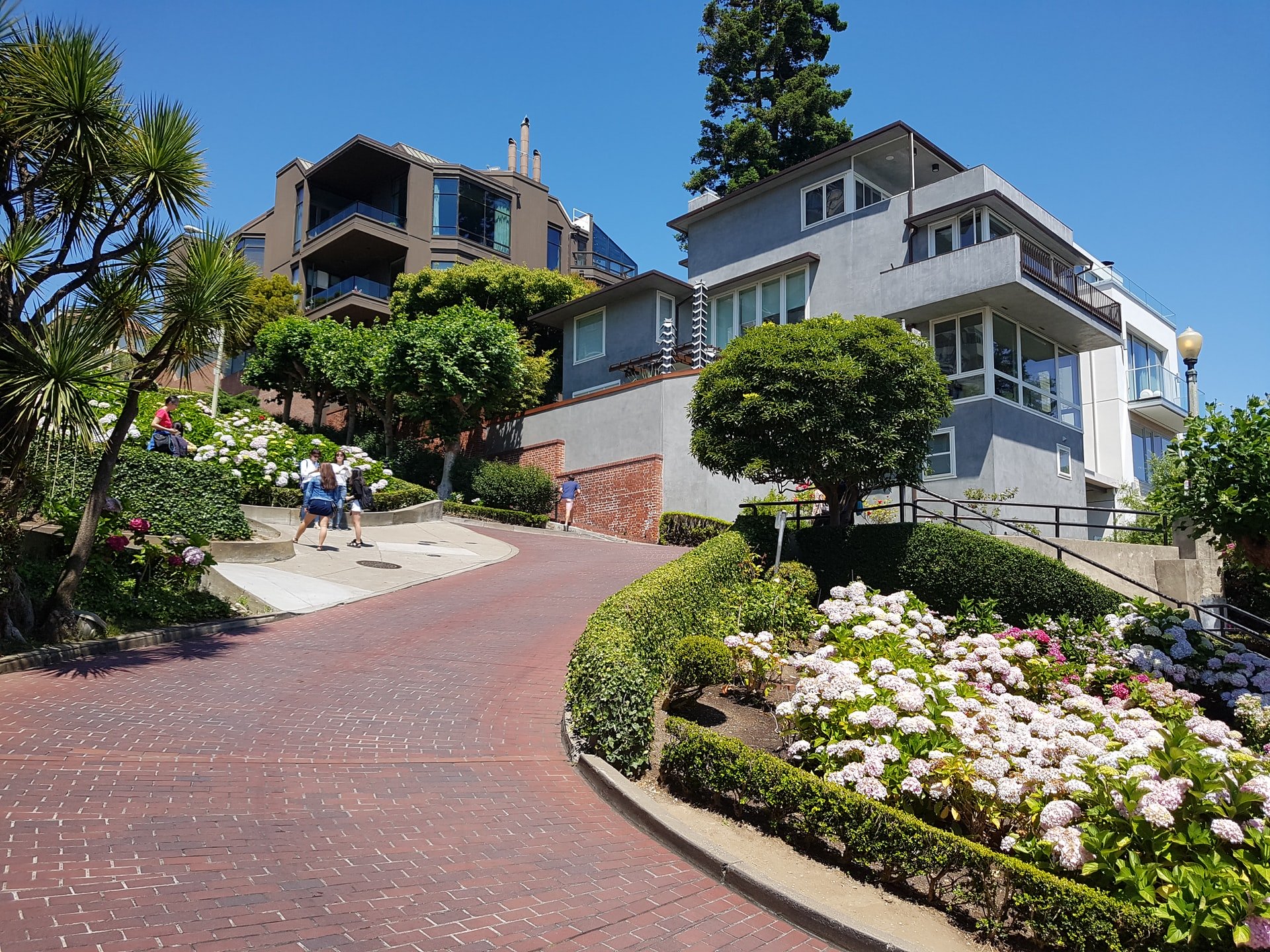 Lombard Street: Visiting San Francisco’s Crookedest Street – Blog