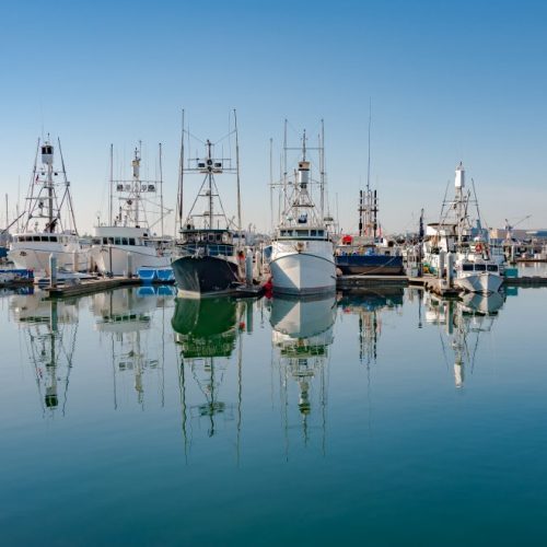 San-Diego-harbor-view-of-fishing-boats-1000×660