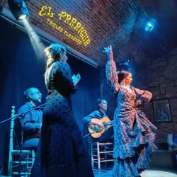 Flamenco show on Barcelona tour