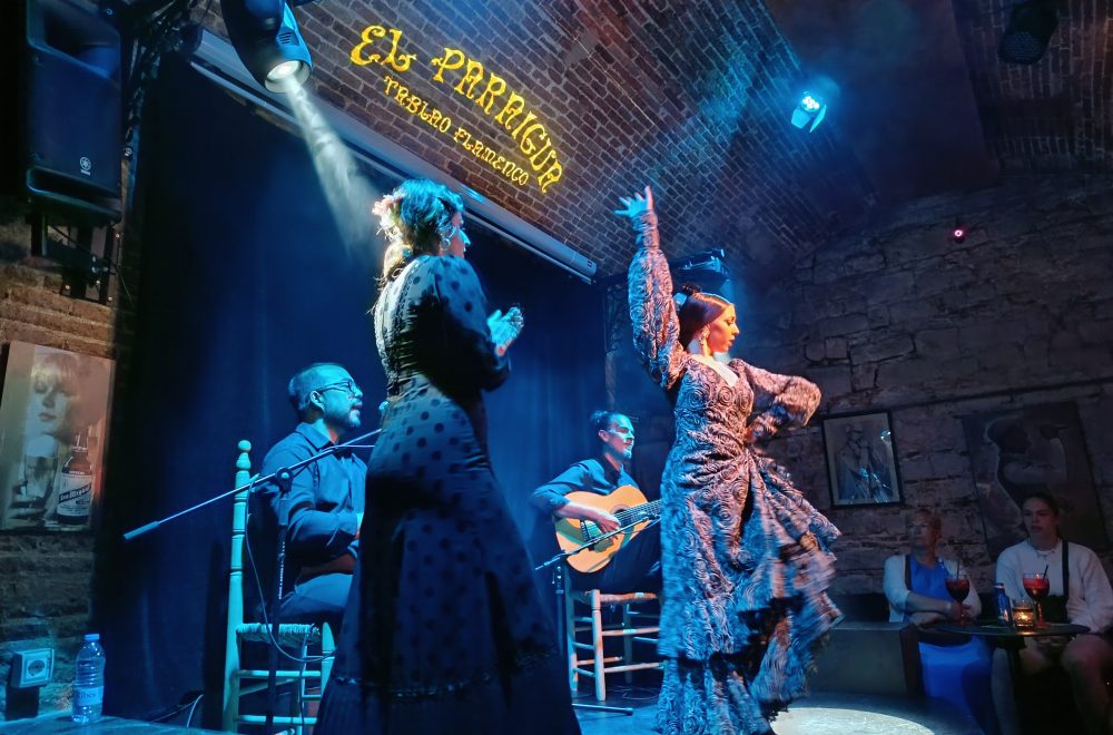 Flamenco show on Barcelona tour