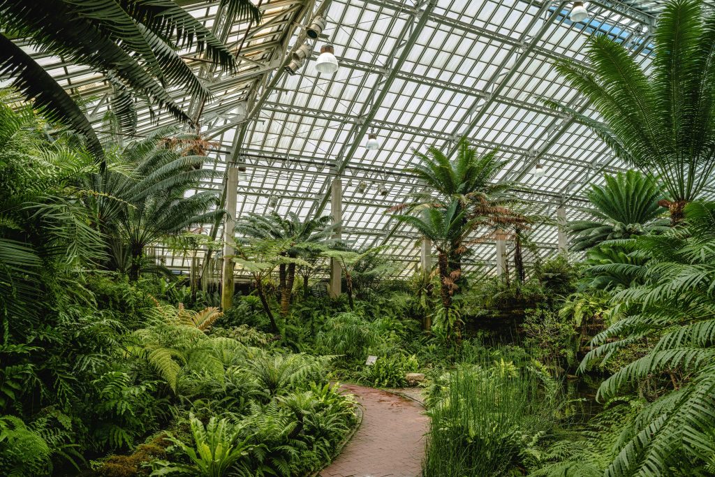 Inside of a large greenhouse at Garfield Park