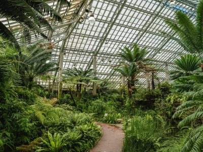 Inside of a large greenhouse at Garfield Park