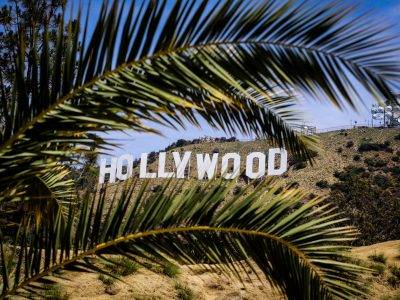 Hollywood Sign view through palm leaves