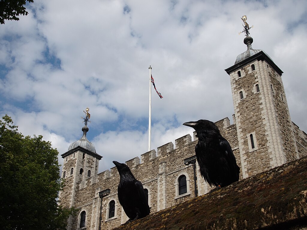 Two Ravens and the Tower of London