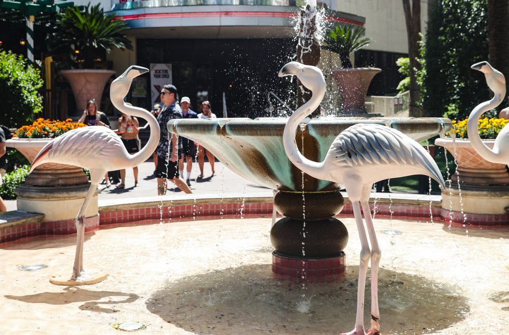 Flamingo Gardens during Mid-Strip Tour in Las Vegas