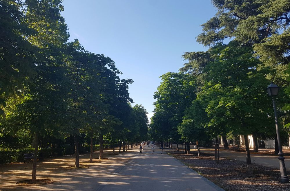 Puntos de fuga en El Retiro Park Madrid