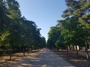 Puntos de fuga en El Retiro Park Madrid