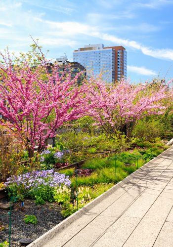 Spring at the High Line in New York City