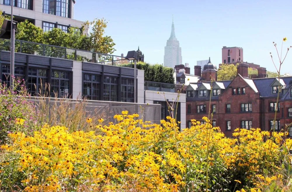 high line NYC