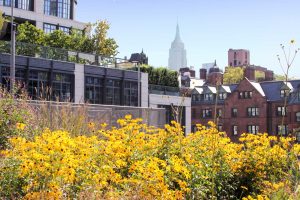 high line NYC