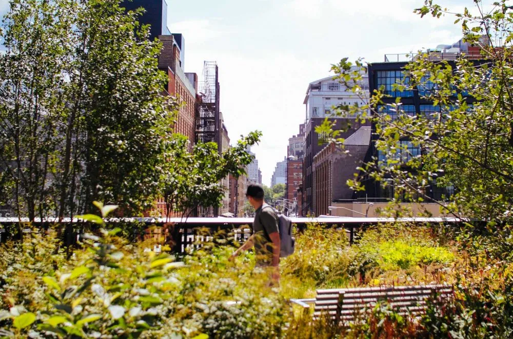 view from the High Line elevated park in NYC