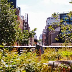 view from the High Line elevated park in NYC