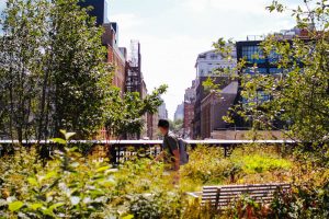 view from the High Line elevated park in NYC