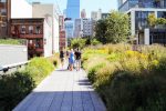 The Highline Park NYC: Walking from Chelsea Market to Hudson Yards -  Hazel's Travels