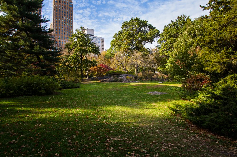 Strawberry Fields in Central Park NYC