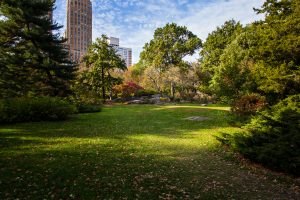 Strawberry Fields in Central Park NYC