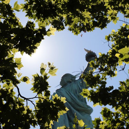 Lady of Liberty through the trees during NYC Statue of Liberty tour