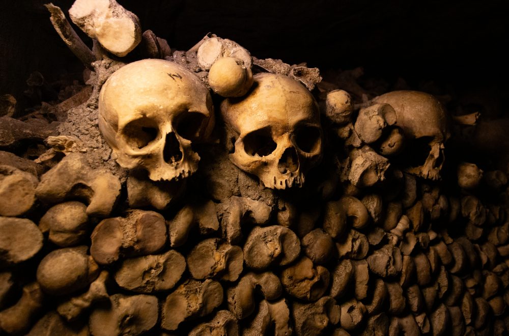 Close up of skulls during Catacombs Guided Tour