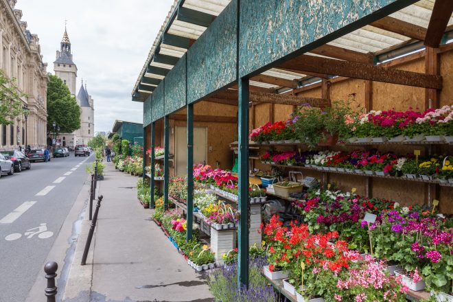 Flower stall along Seine river in Notre Dame Tour in Paris