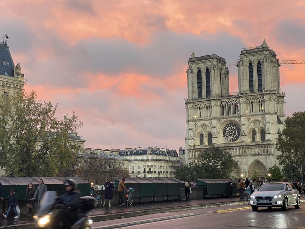 Notre Dame Tour With Crypt Entry – Paris