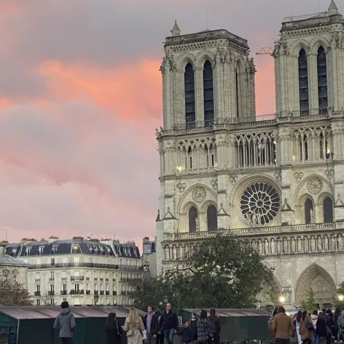 Notre Dame with Pink Sky