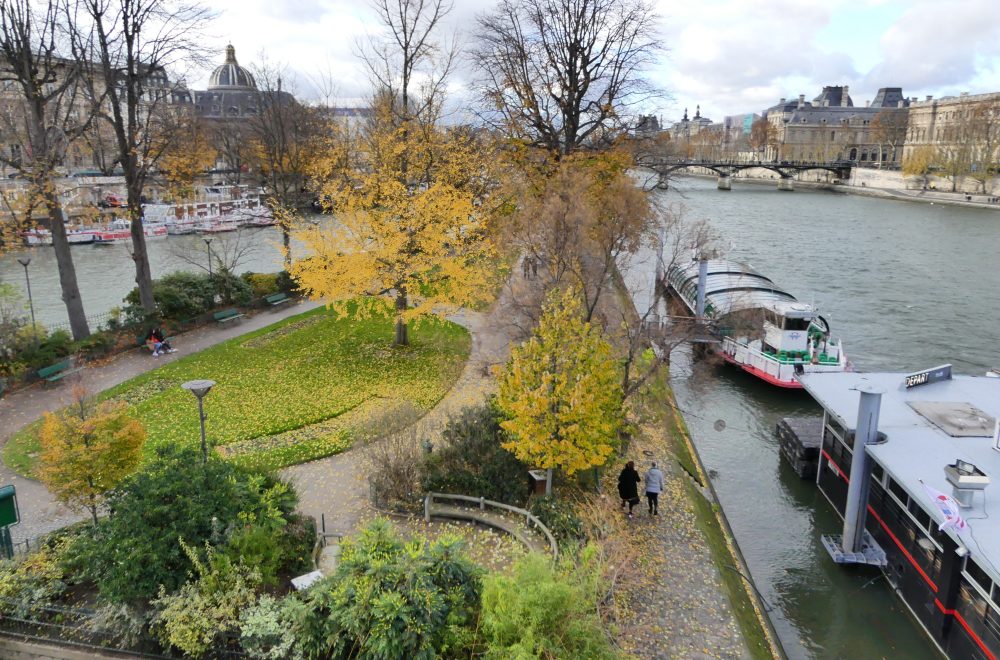 Square du Vert-Galant Autumn winter Paris