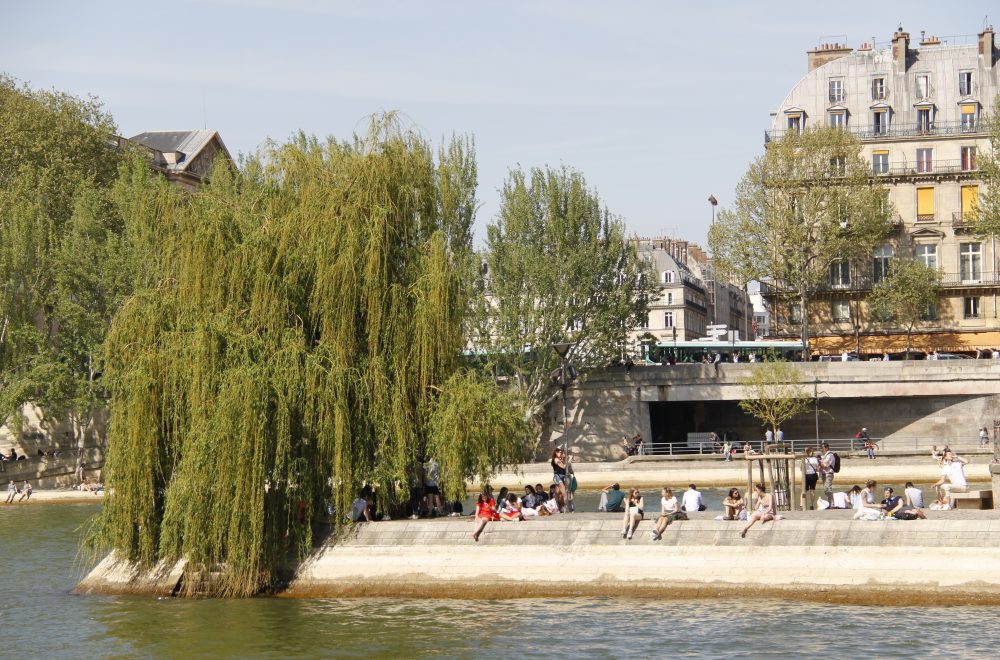 Square du Vert-Galant l’été à Paris