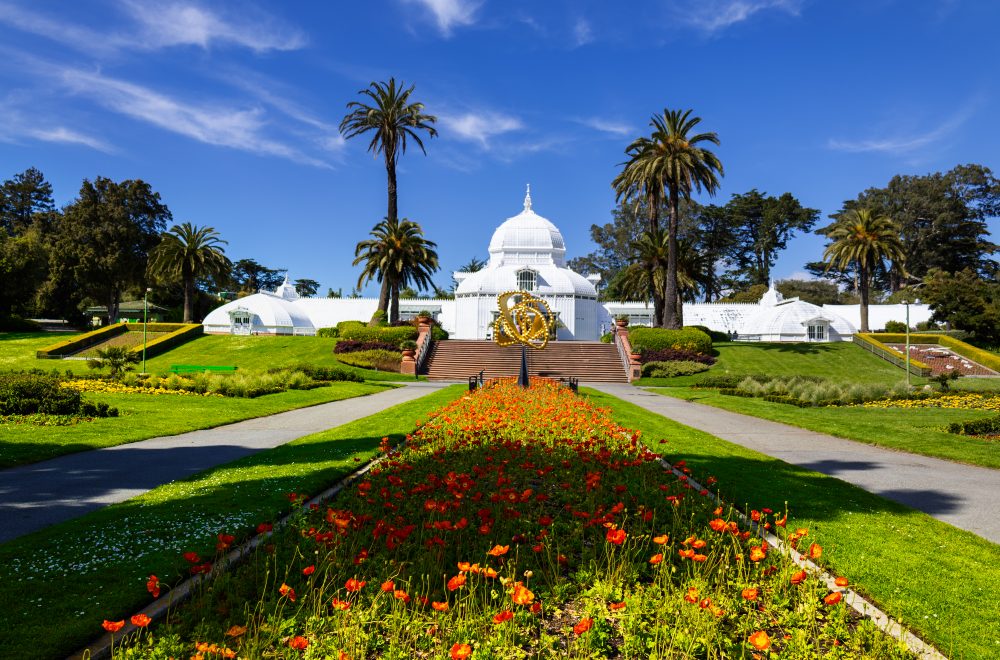 The Conservatory of Flowers in bloom on Golden Gate Park walking tour