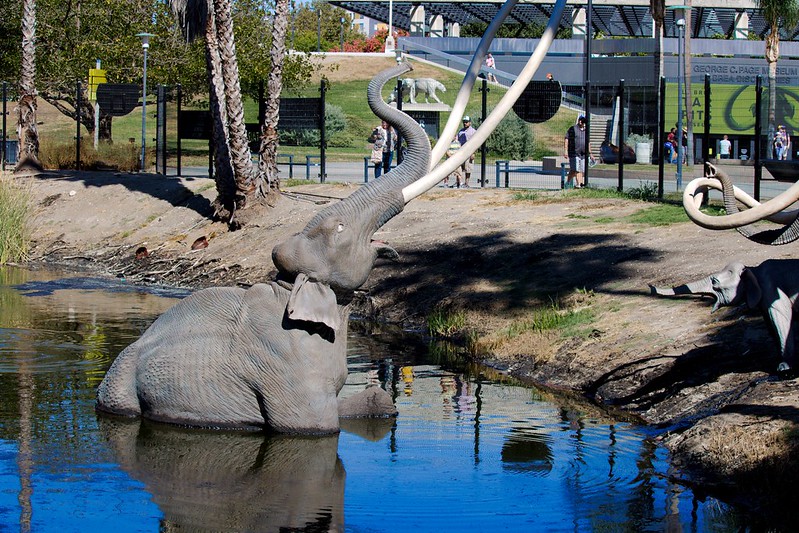 La Brea Tar Pits: LA Like You’ve Never Seen It — Prehistoric ...